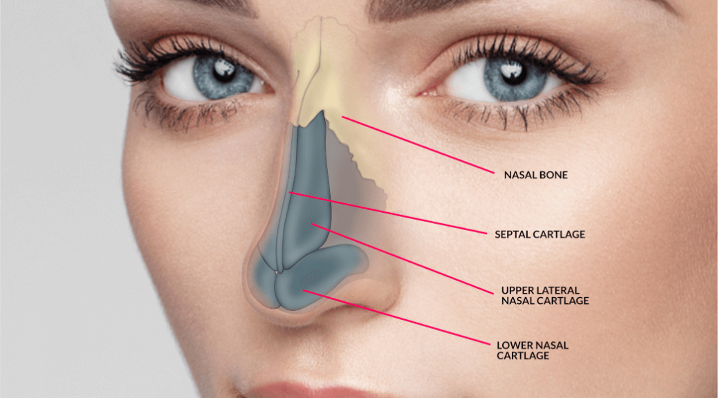 Rhinoplastie Tunisie