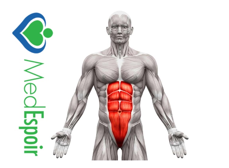 redessiner abdominaux Tunisie