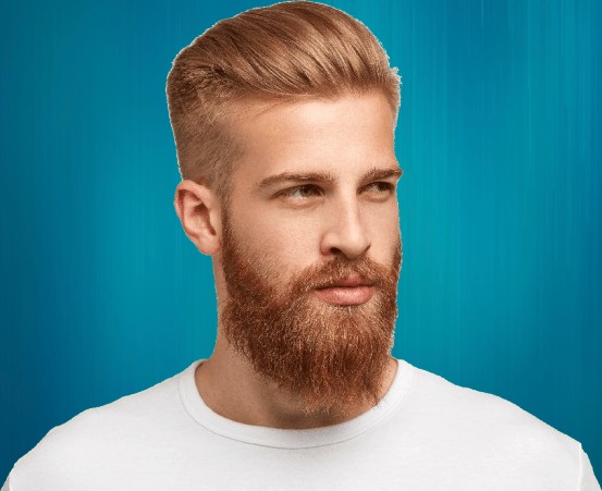 Greffe barbe Suisses